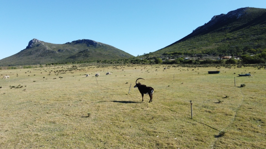 2 Bedroom Property for Sale in Gouritsmond Rural Western Cape